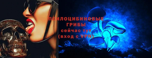 дживик Вязники