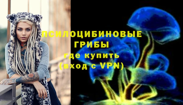 дживик Вязники