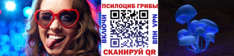 Псилоцибиновые грибы MAGIC MUSHROOMS  хочу наркоту  Зубцов 